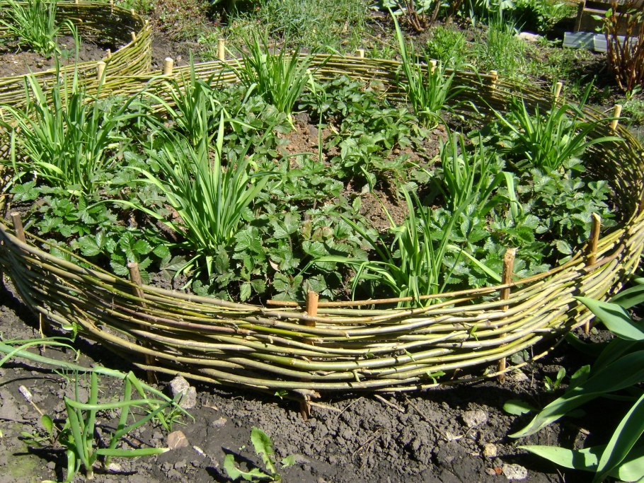 Плетеные клумбы