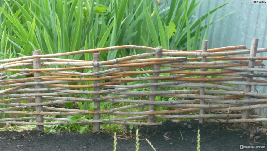 Парник из лозы своими руками
