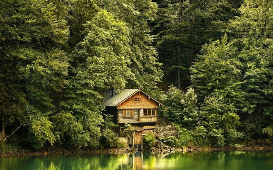 Домик в лесу