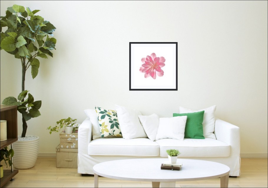 Камелия 10 дуплекс обои