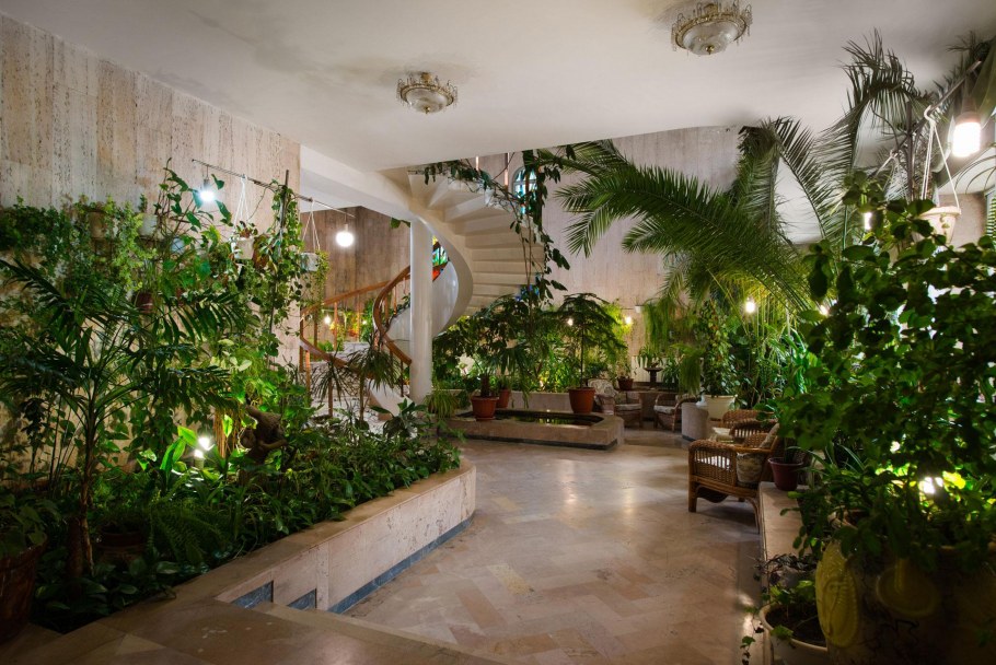 Зимний сад интерьер