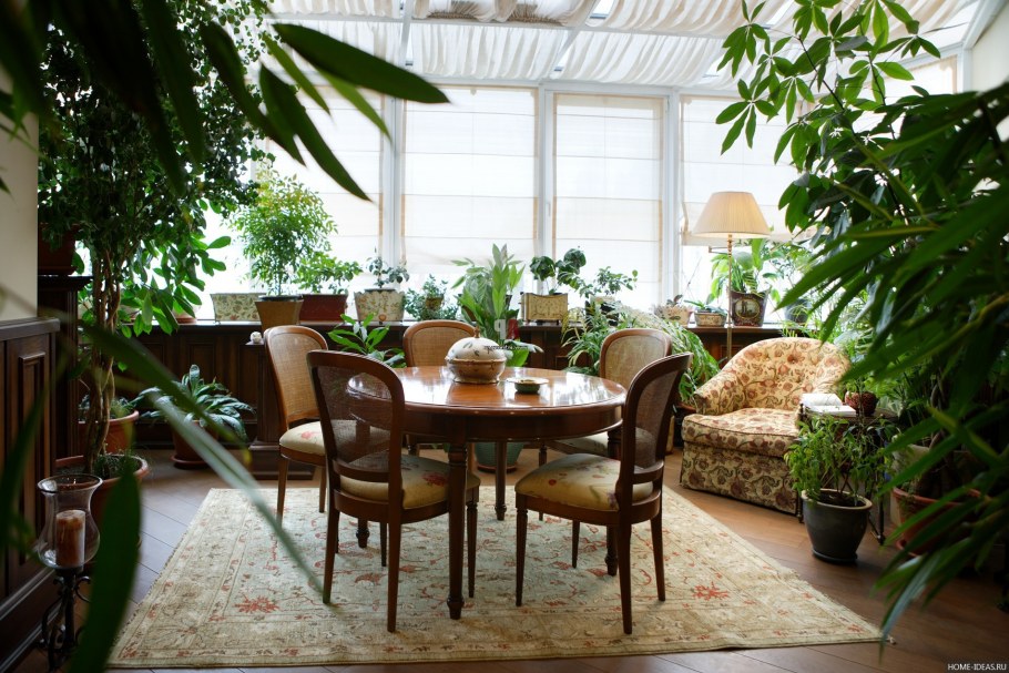 Растения в интерьере