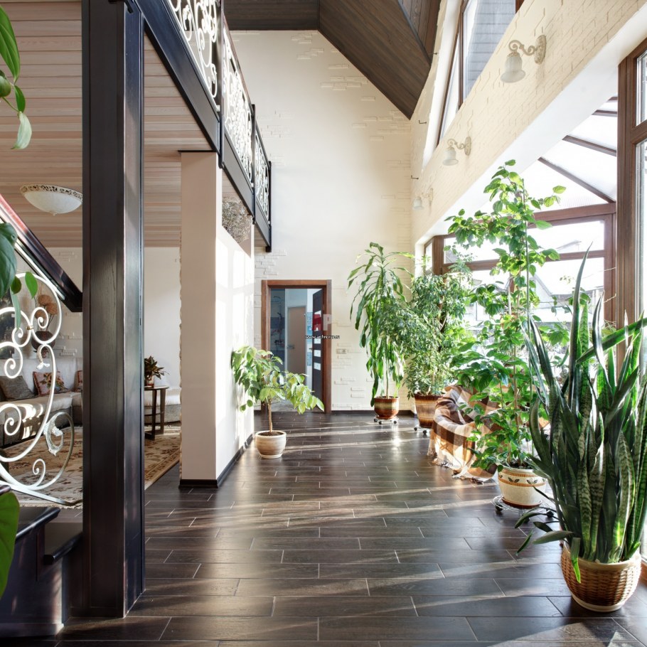 Зимний сад интерьер