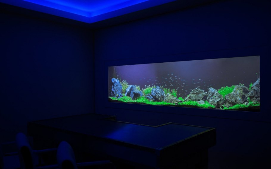Стенка в гостиную с аквариумом