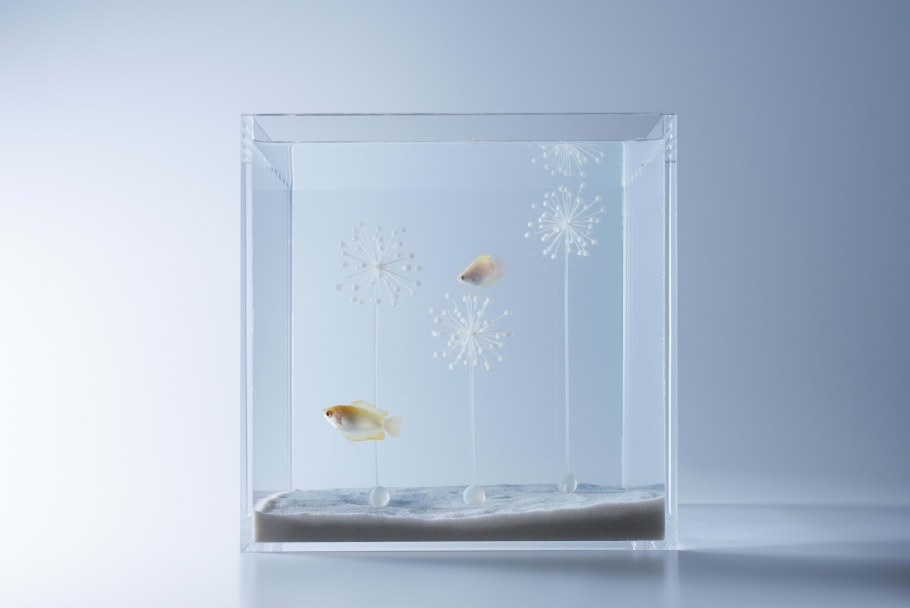 Встроенные аквариумы в интерьере