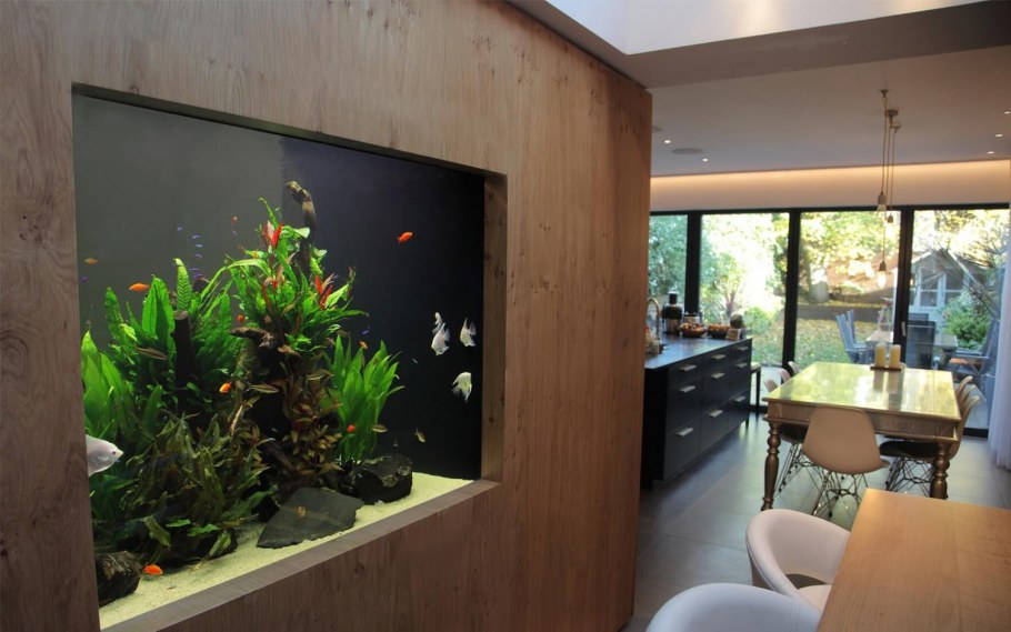 Необычные кухни