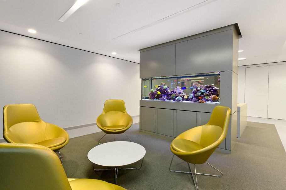 Экостиль аквариум