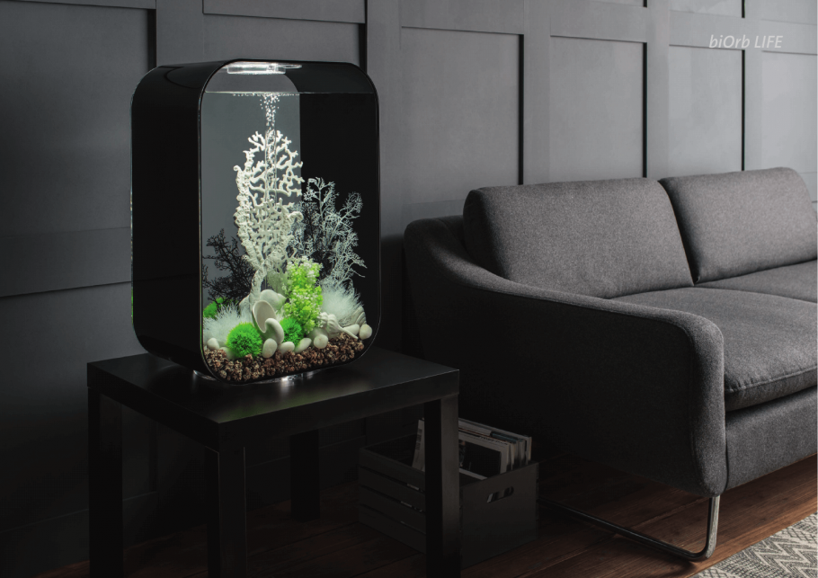 Аквариум Минимализм