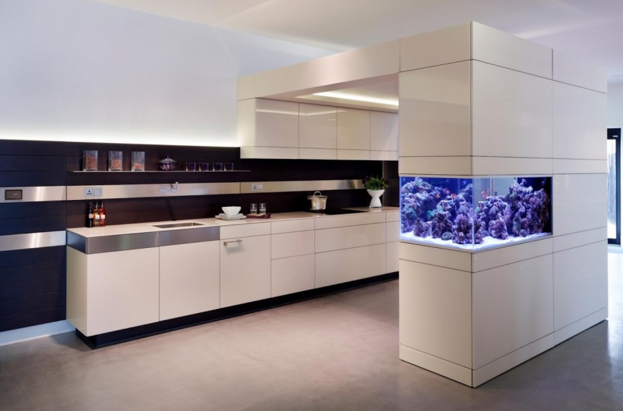 Стеклянная перегородка с растениями