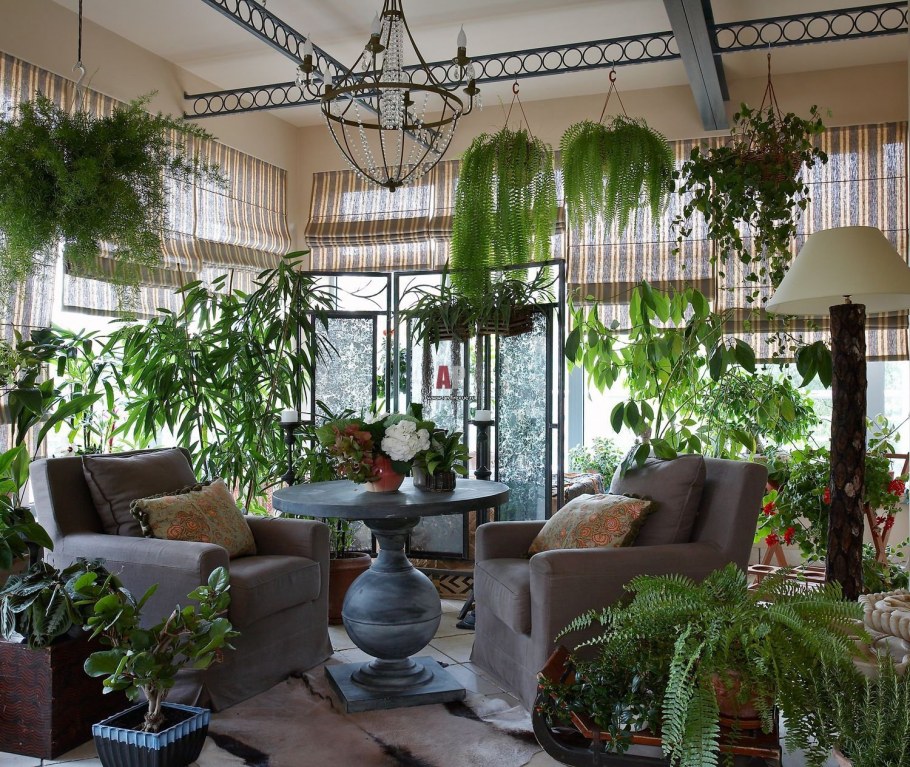 Растения в интерьере