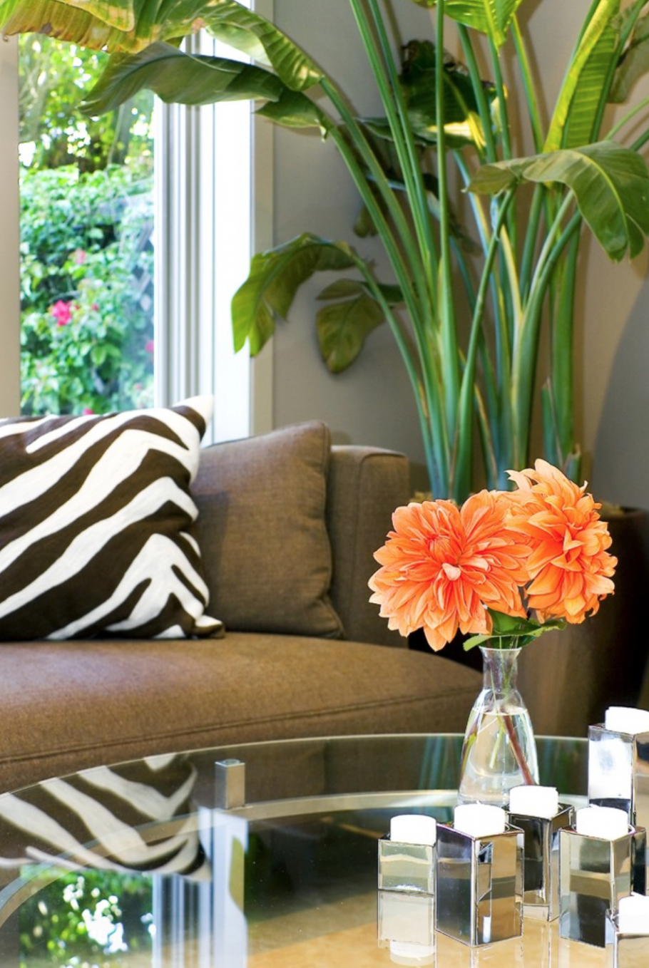 Орхидеи в интерьере гостиной