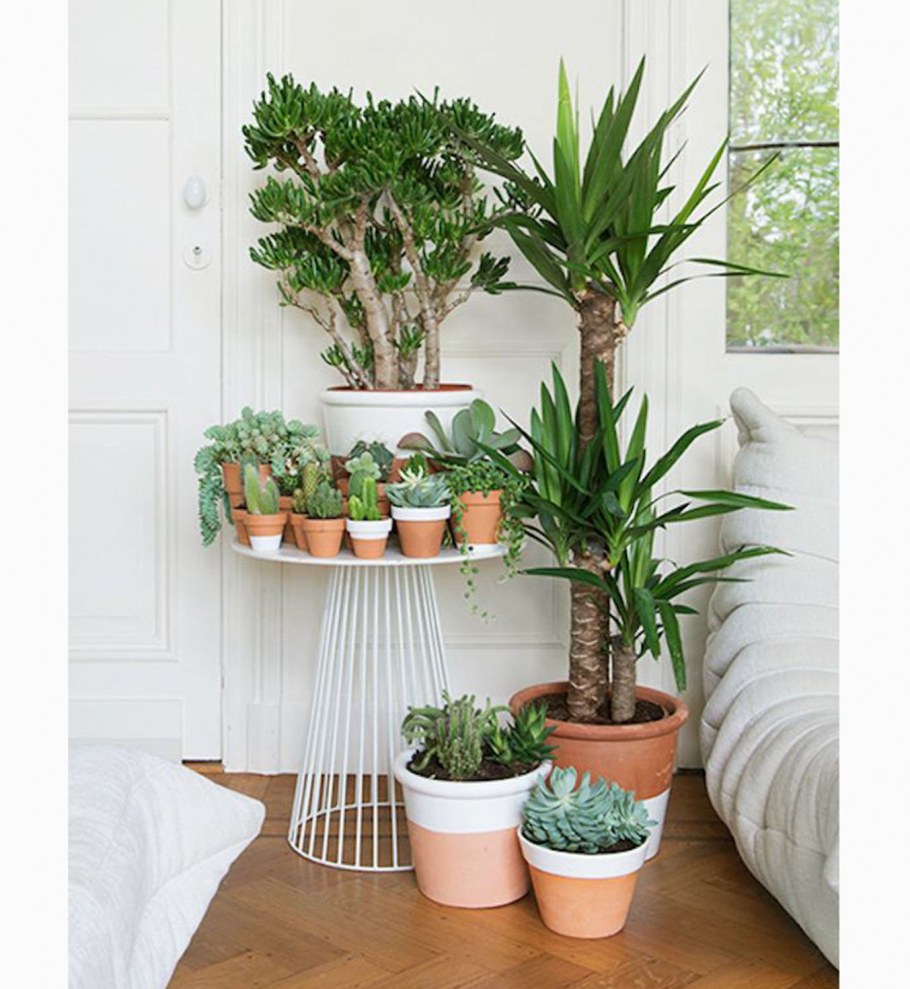 Уголки для комнатных цветов