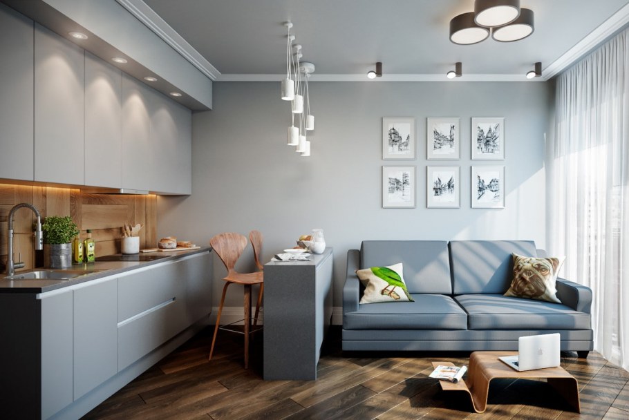 Интерьер кухни гостиной 17 кв