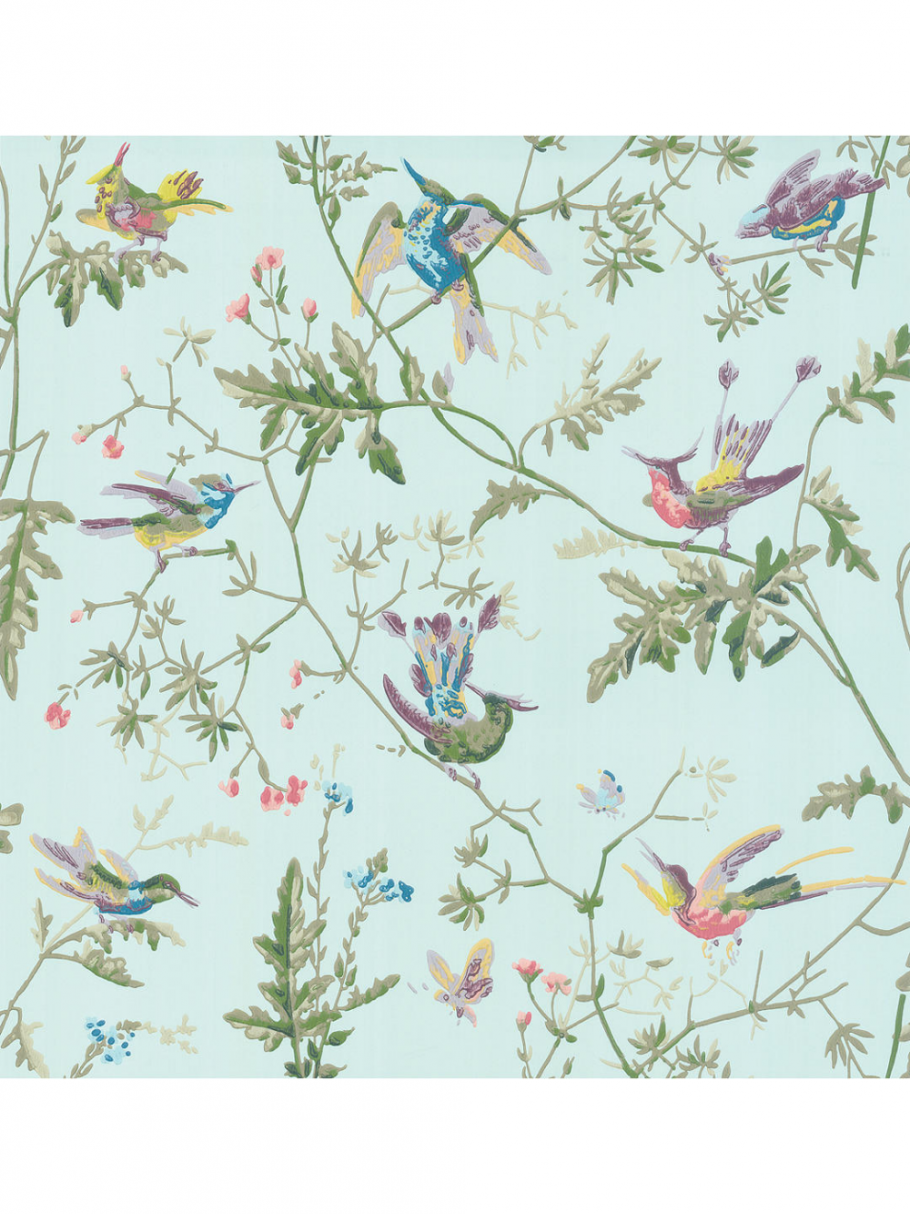 Cole & son, коллекция collection of Flowers, артикул: 62/1004od