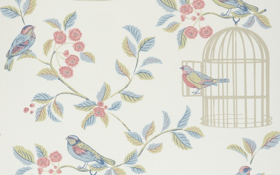 Обои с птицами и цветами для стен