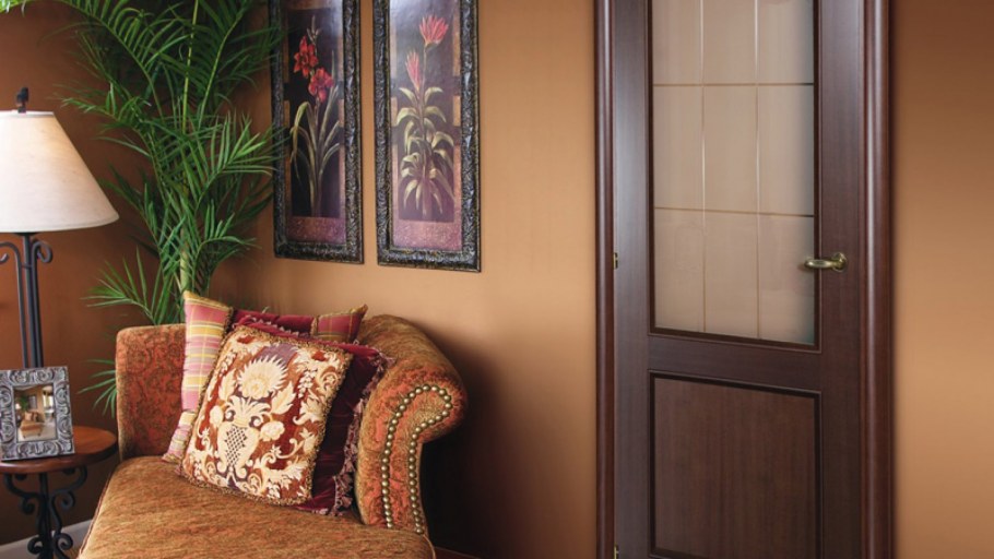 Двери цвета орех в интерьере