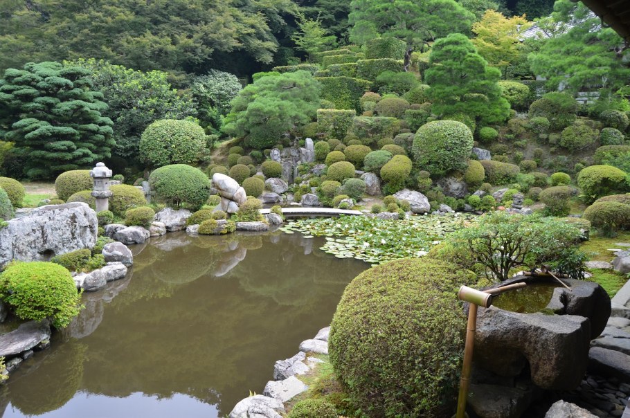 Японский сад панорама