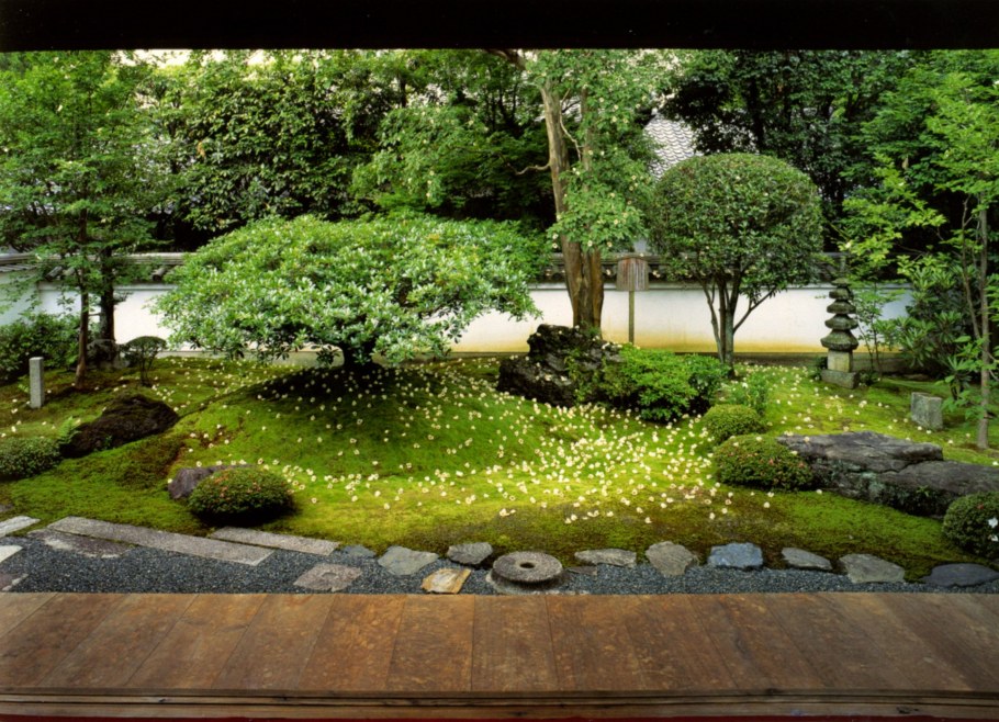 «Сад духов» – Водный сад