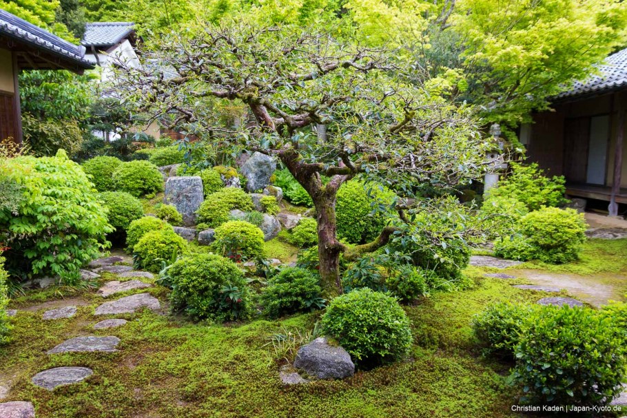 Япония сад Риосанджи