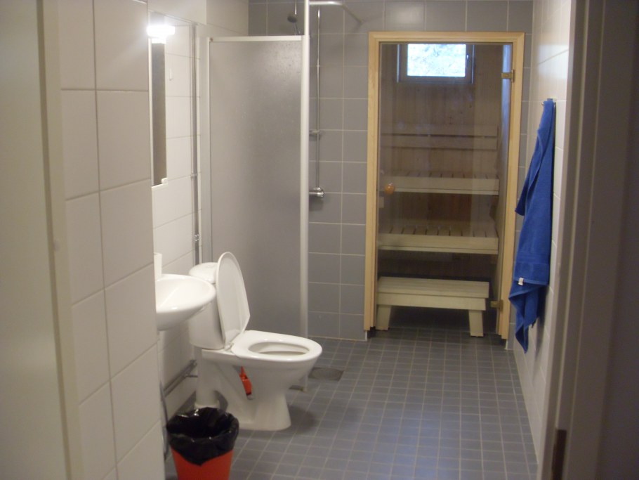 Мини сауна в ванной комнате в квартире