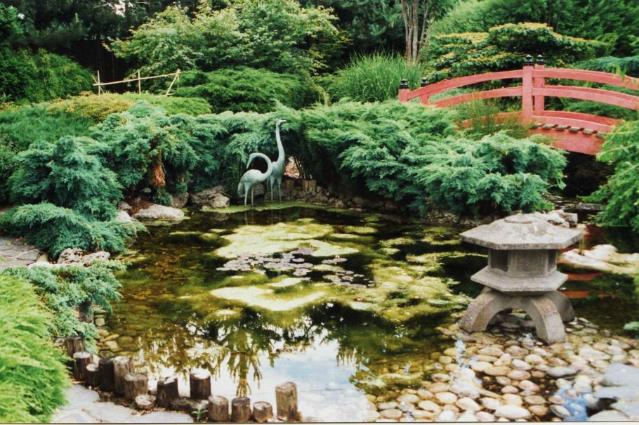 Каменные сады Японии бонсай