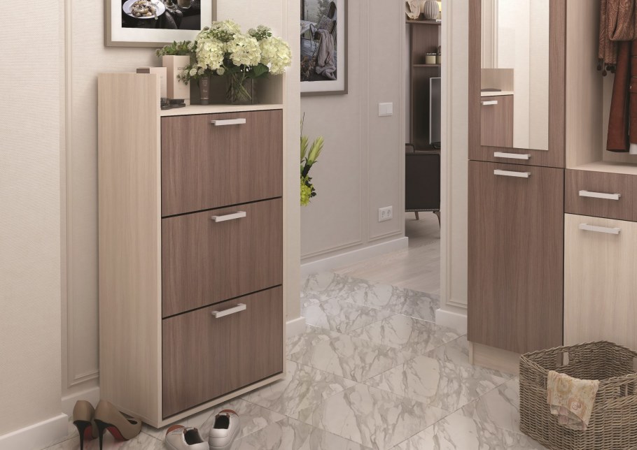 Обувница Дели-1 Стендмебель