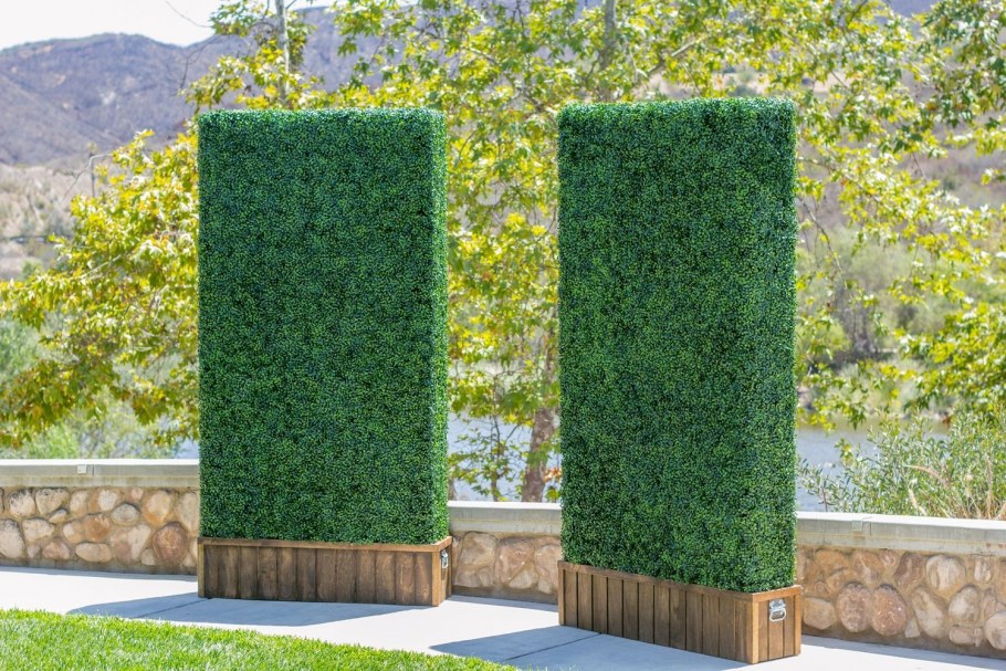 Пузыреплодник калинолистный изгородь