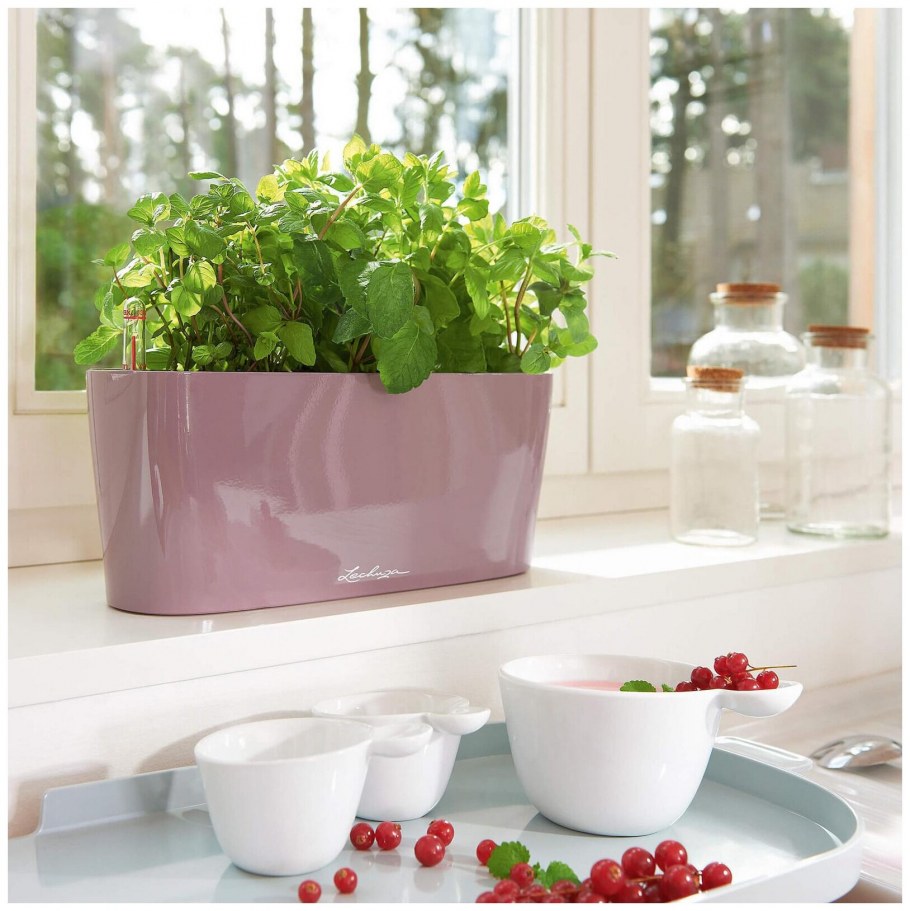 Кашпо настольное Lechuza Delta 10