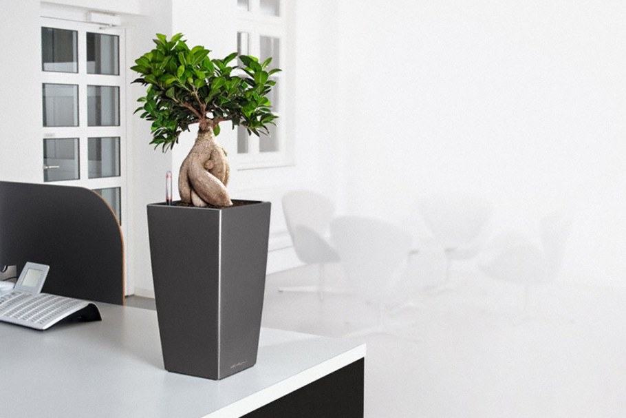 Кашпо Кубико колор 30