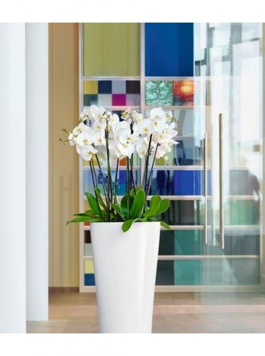 Lechuza Delta Premium 40