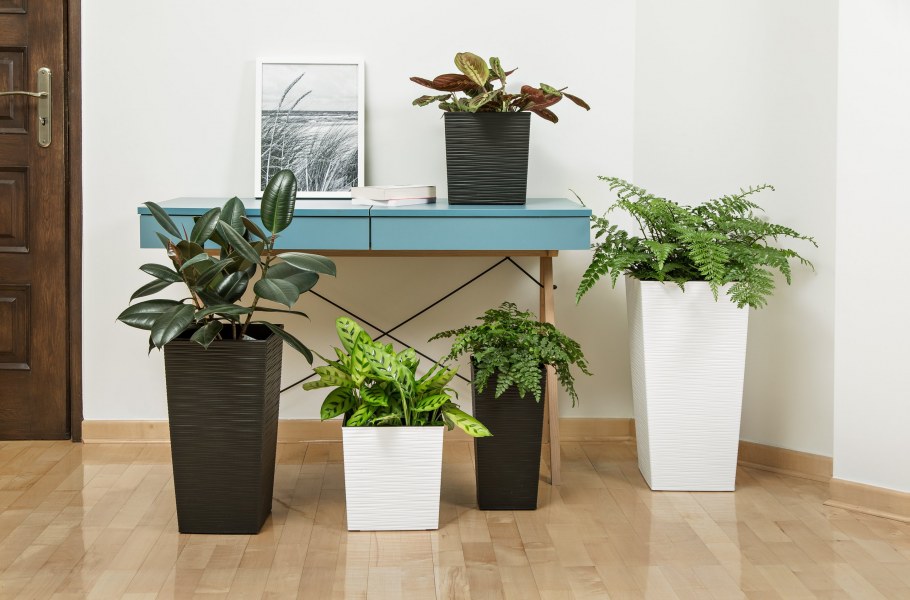 Кашпо Lamela Finezja