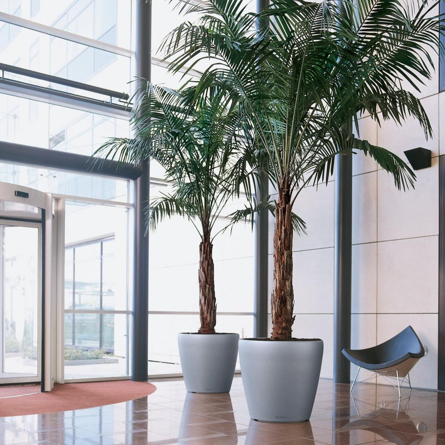 Юкка Лечуза