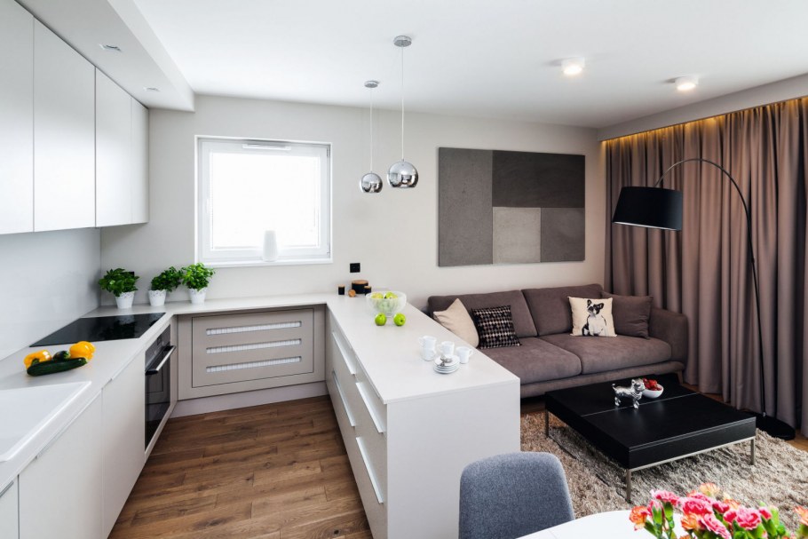 Кухня гостиная 15 кв