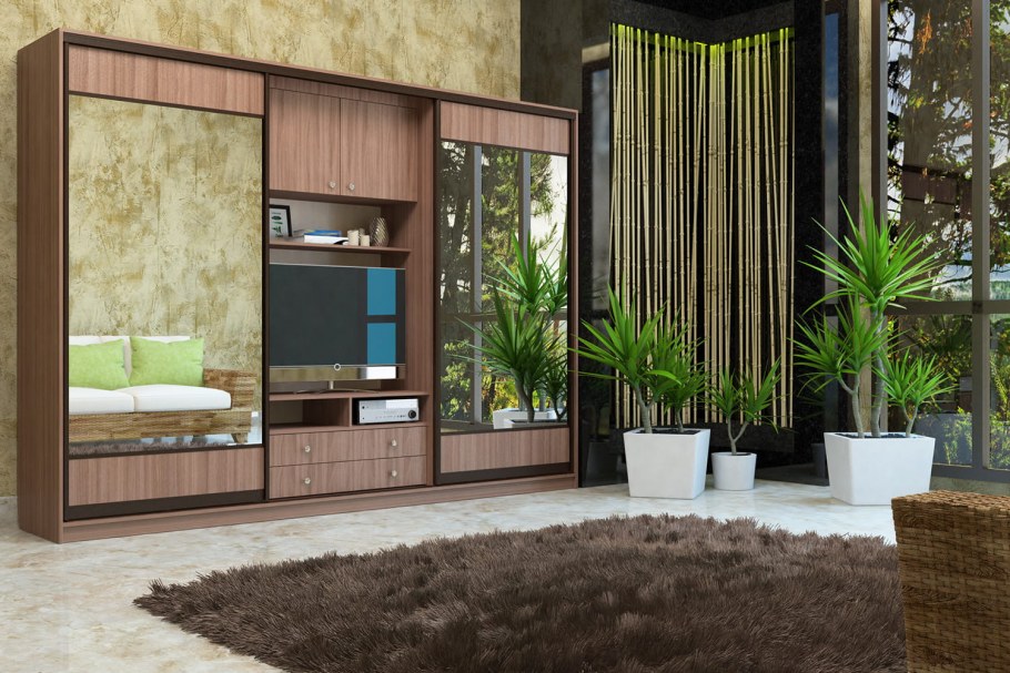 Шкаф-купе Валерия с нишей под ТВ 3000 (монорельс) ЛДСП