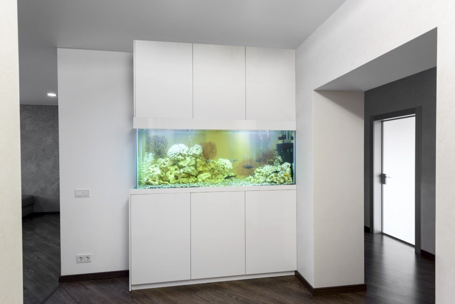 Аквариум в прихожей