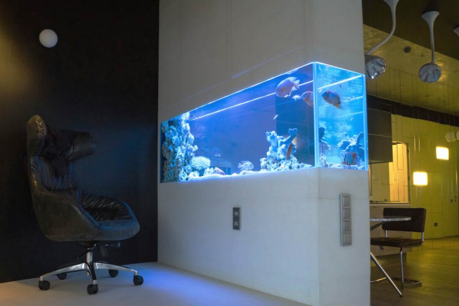 Аквариум на 500 литров псевдоморе