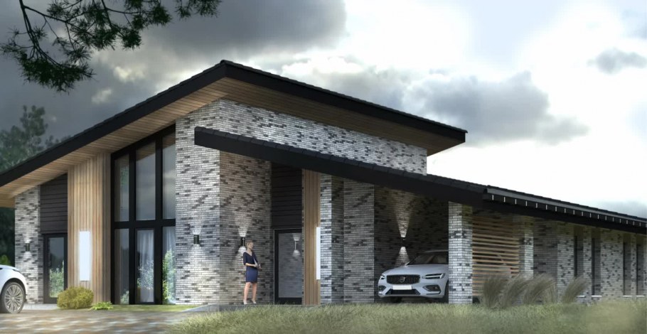 Шале Шамони проект