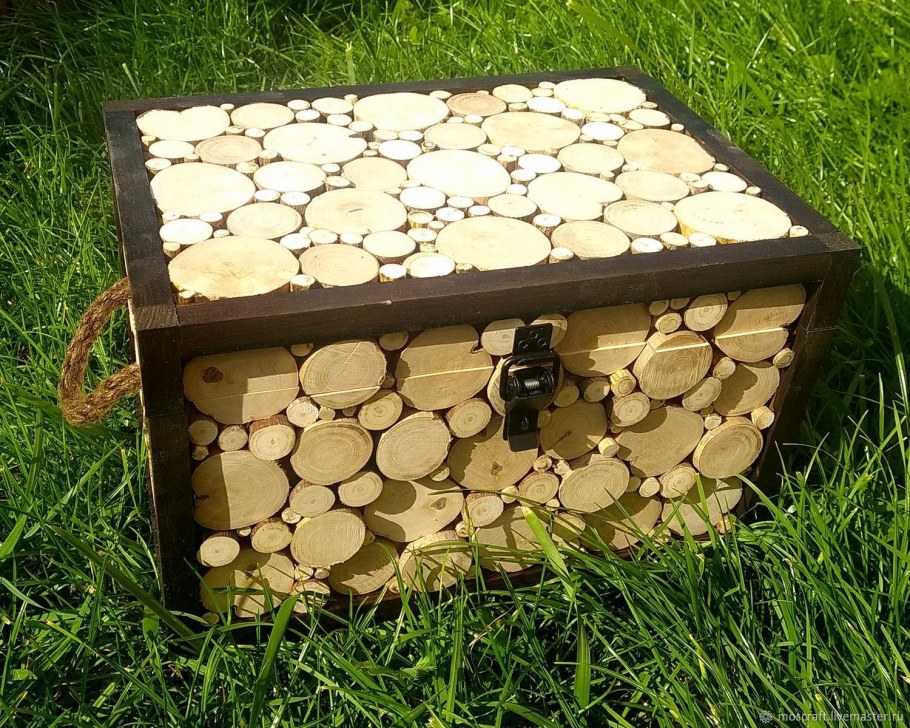 Стена из круглых спилов дерева