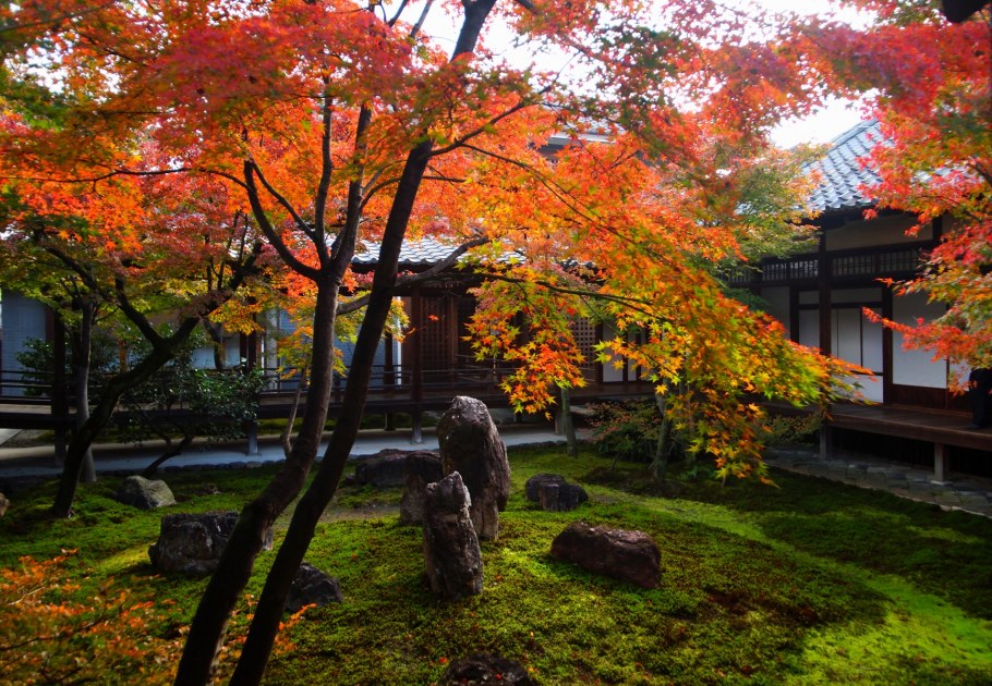 Япония осенью Киото