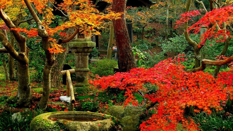 Сады в Японии осенью