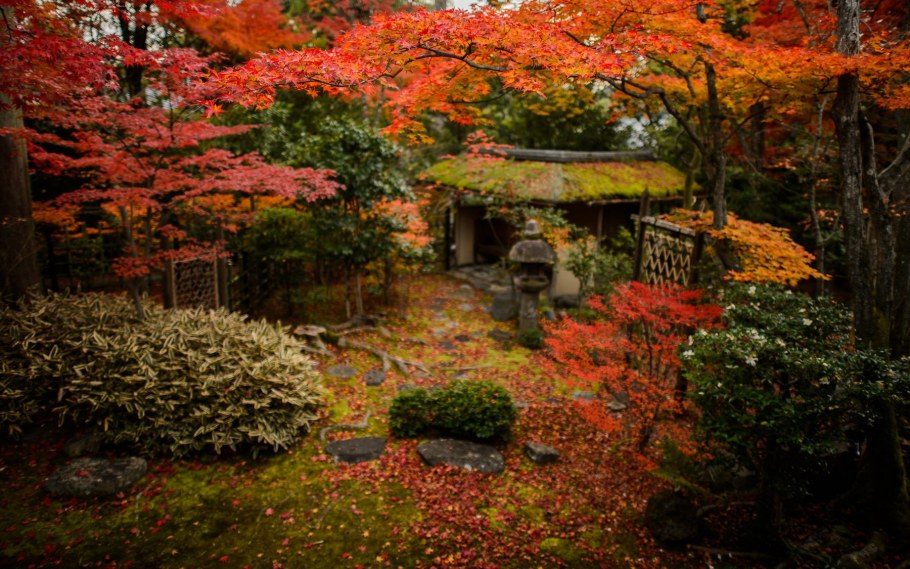 Киото Япония