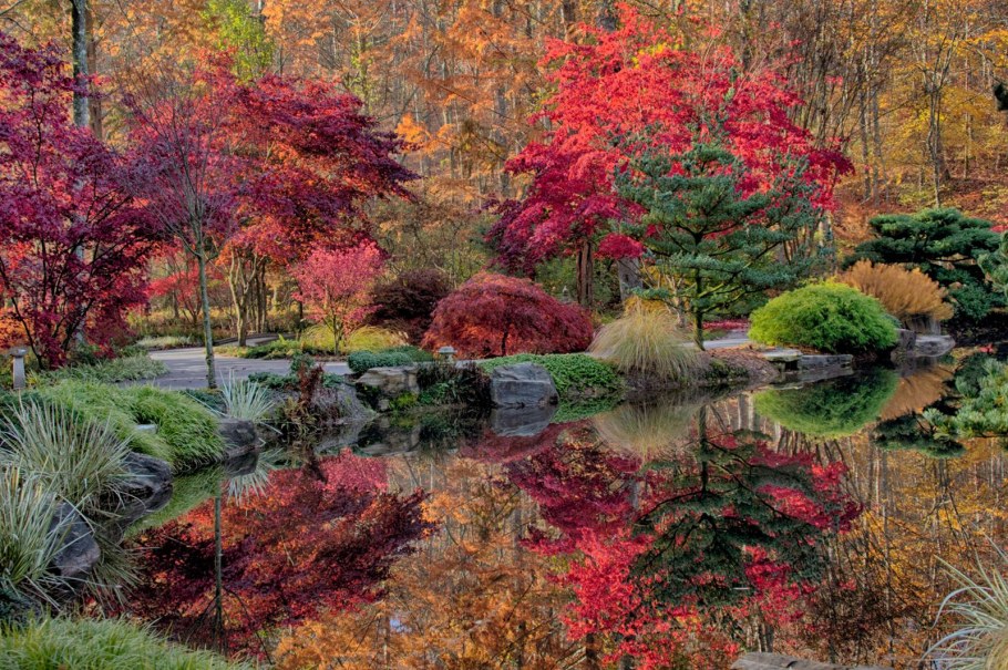 Осень в японском саду