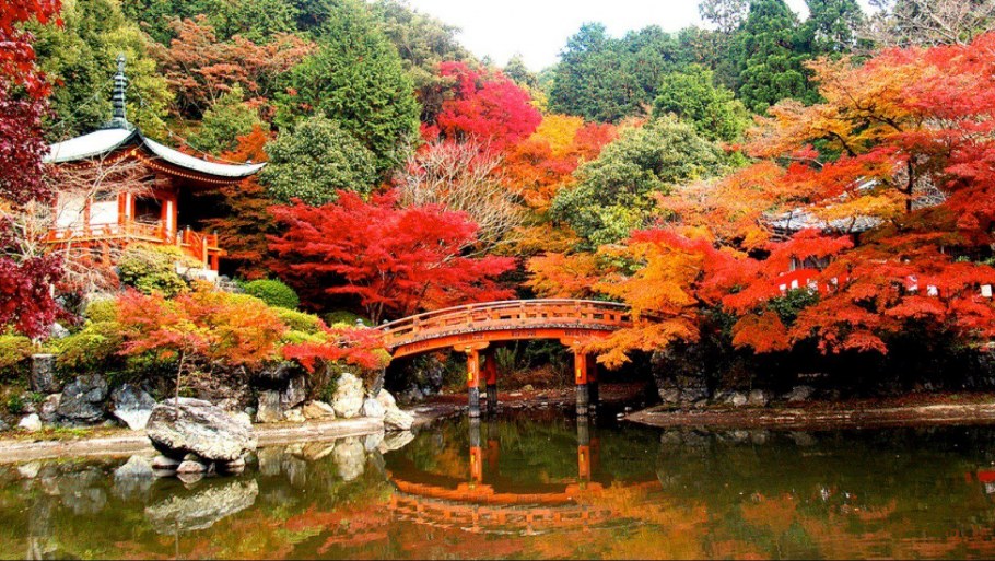 Келли Киото Япония