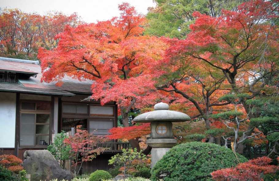 Япония Коракуэн