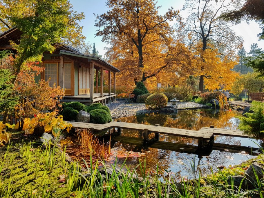 Ботанический сад Санкт-Петербург японский сад