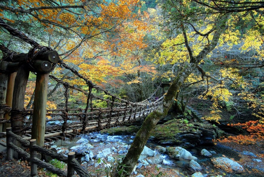 Плющ вокруг висячего моста осенью картинки