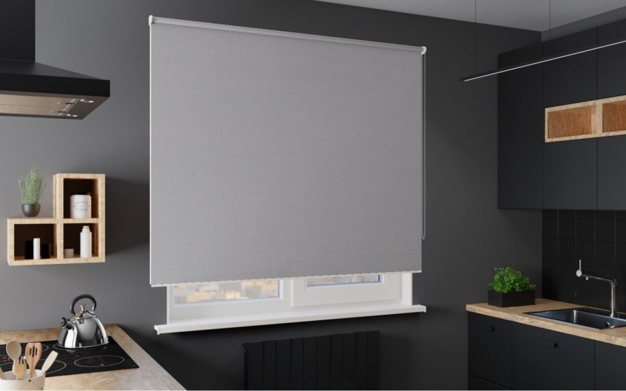 Рулонные шторы MGS Зебра