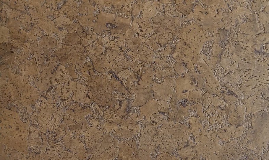 Wicanders o824 Shell