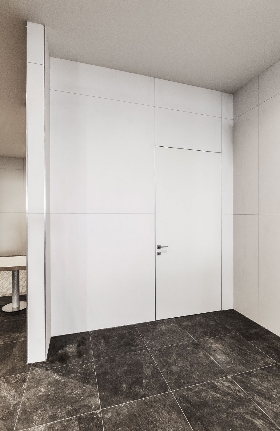 Двери Инвизибл профиль Дорс