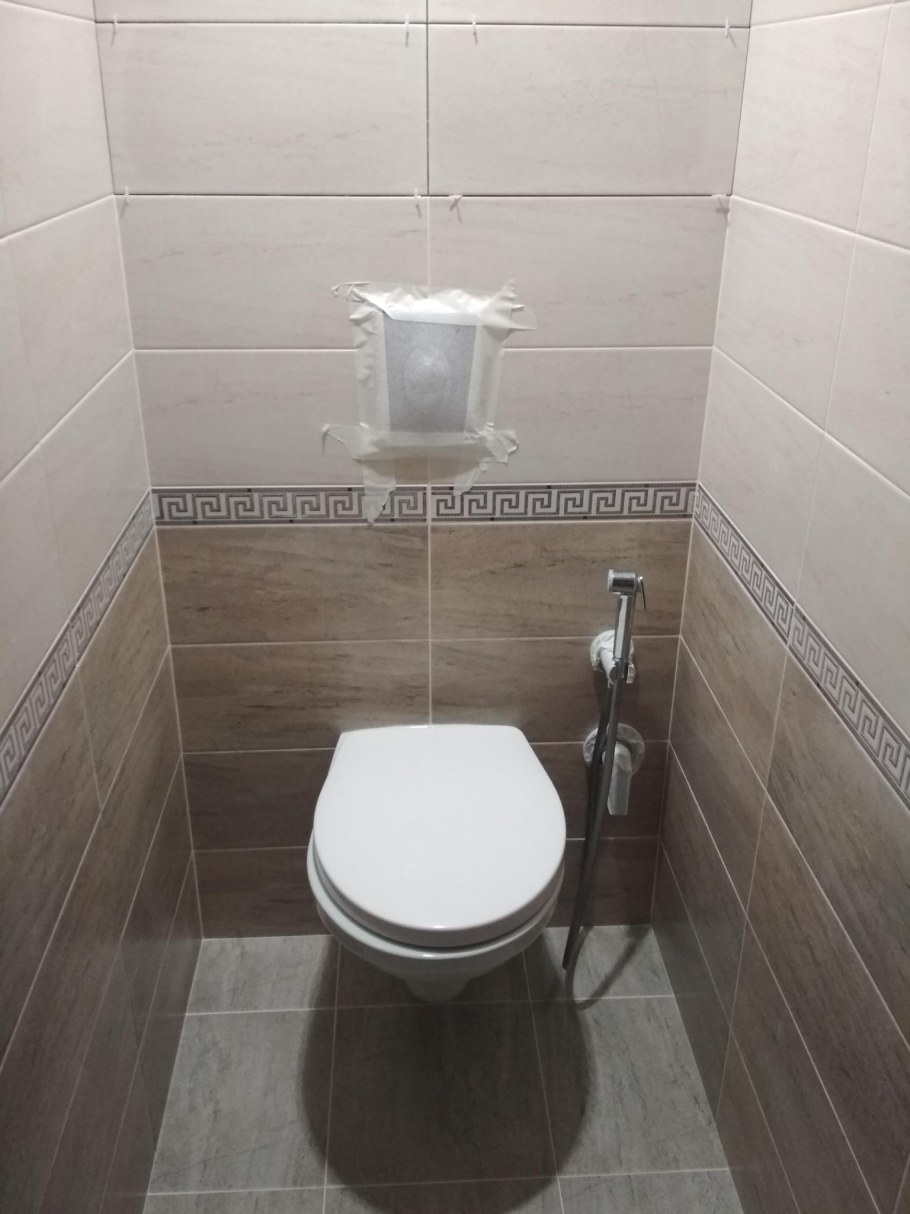 Санузел с инсталляцией и гигиеническим душем